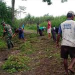 kolaborasi-babinsa-dan-petani-bersihkan-jalan-sawah-di-yosowilangun-lumajang