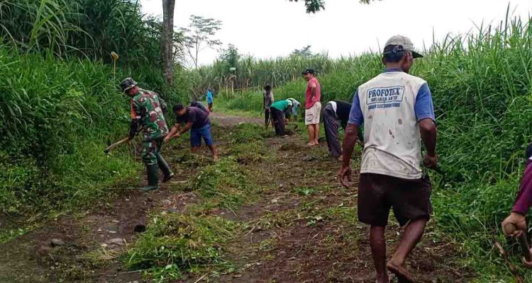 kolaborasi-babinsa-dan-petani-bersihkan-jalan-sawah-di-yosowilangun-lumajang