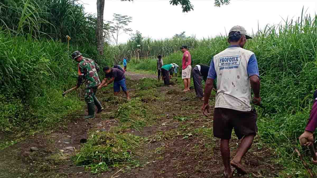 kolaborasi-babinsa-dan-petani-bersihkan-jalan-sawah-di-yosowilangun-lumajang