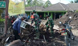 WhatsApp Image 2025-11-30 at 20.44.11