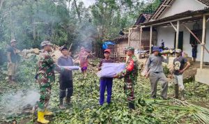 tni-dan-bpbd-lumajang-salurkan-bantuan-darurat-ke-korban-puting-beliung