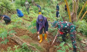 tni-dan-pemda-trenggalek-hijaukan-bukit-jatuh-untuk-cegah-longsor-dr45